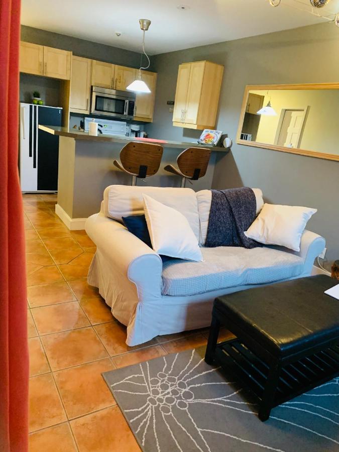 Condo Entier, Fully Equiped Pool And Spa Only In Summer Mont-Tremblant Exteriér fotografie